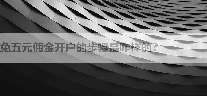 免五元佣金开户的步骤是咋样的？