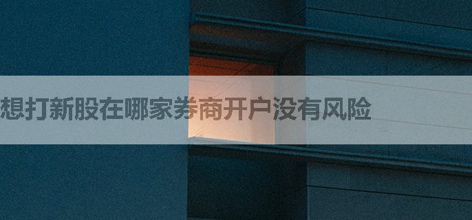 想打新股在哪家券商开户没有风险
