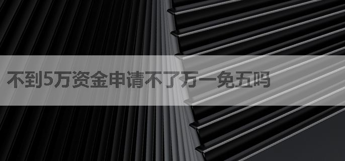 不到5万资金申请不了万一免五吗