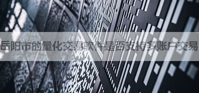 岳阳市的量化交易软件是否支持多账户交易？