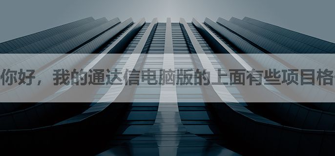 你好，我的通达信电脑版的上面有些项目格子都是空白，不显示文字，怎么纠正