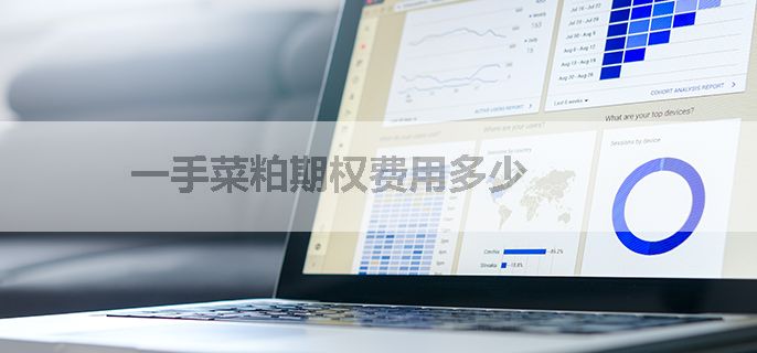 一手菜粕期权费用多少