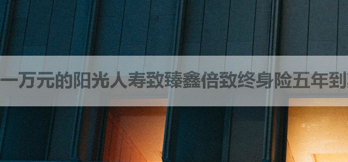 一万元的阳光人寿致臻鑫倍致终身险五年到期后可以领取多少利息