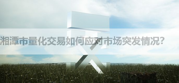 湘潭市量化交易如何应对市场突发情况？