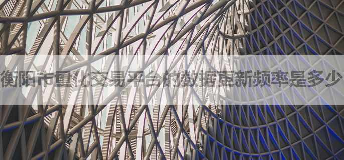 衡阳市量化交易平台的数据更新频率是多少？