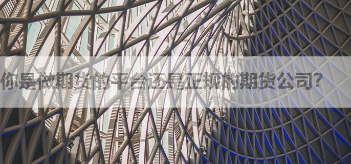 你是做期货的平台还是正规的期货公司？