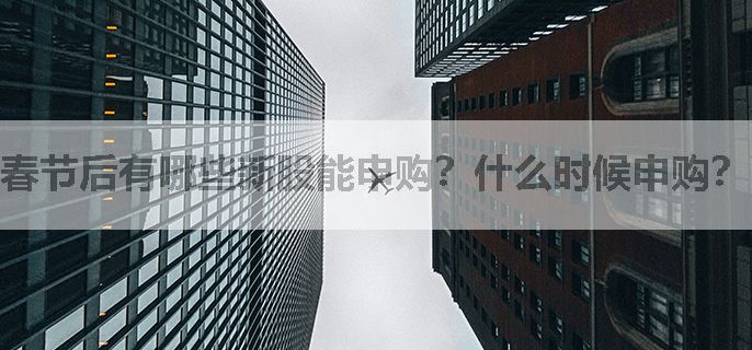 春节后有哪些新股能申购？什么时候申购？