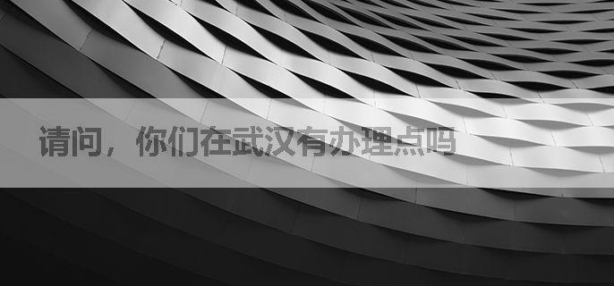 请问，你们在武汉有办理点吗