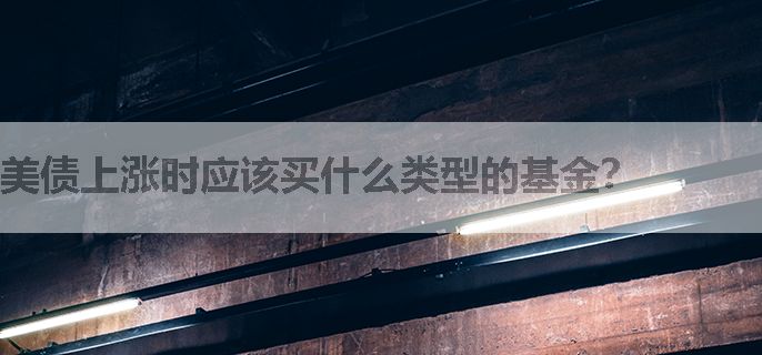 美债上涨时应该买什么类型的基金？