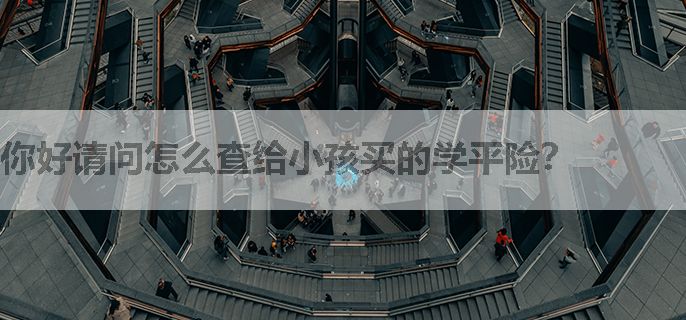 你好请问怎么查给小孩买的学平险？