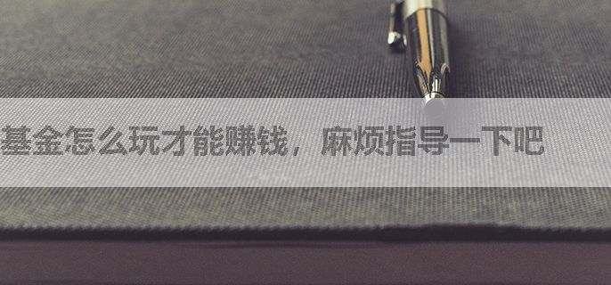 基金怎么玩才能赚钱，麻烦指导一下吧