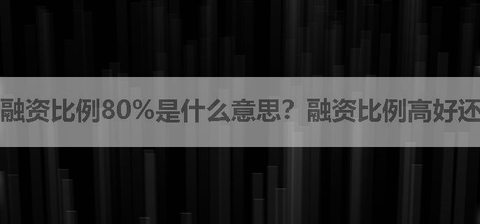 融资比例80%是什么意思？融资比例高好还是低好？，有人了解吗？