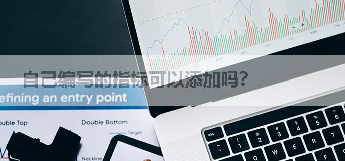自己编写的指标可以添加吗？