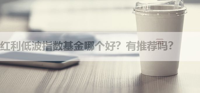 红利低波指数基金哪个好？有推荐吗？