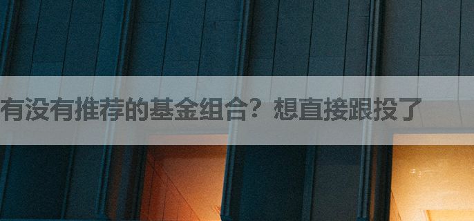 有没有推荐的基金组合？想直接跟投了