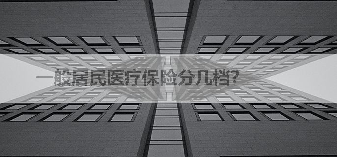 一般居民医疗保险分几档？
