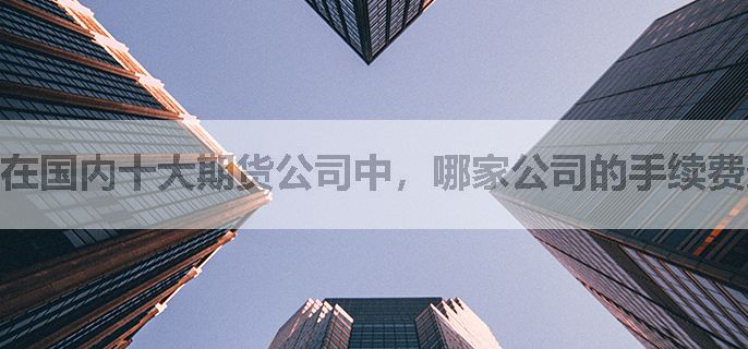 在国内十大期货公司中，哪家公司的手续费最低？