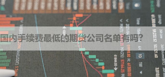 国内手续费最低的期货公司名单有吗？