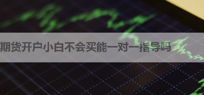 期货开户小白不会买能一对一指导吗
