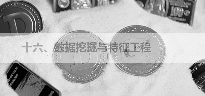 十六、数据挖掘与特征工程