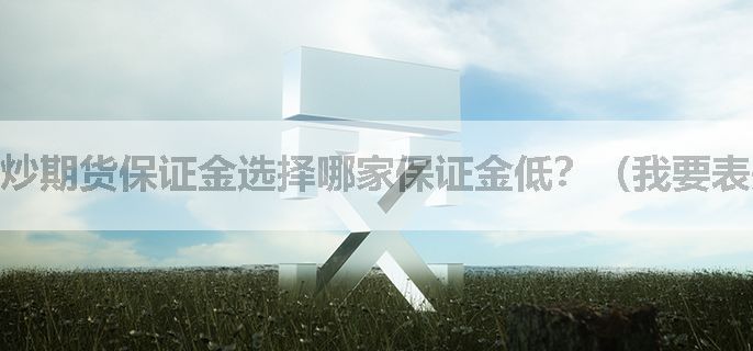 炒期货保证金选择哪家保证金低？（我要表先看看）