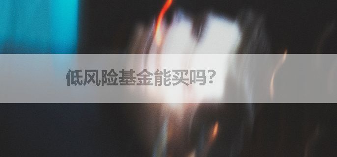 低风险基金能买吗？