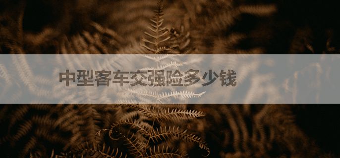 中型客车交强险多少钱