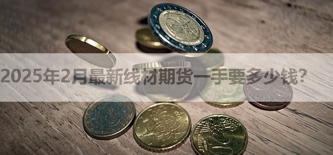 2025年2月最新线材期货一手要多少钱？