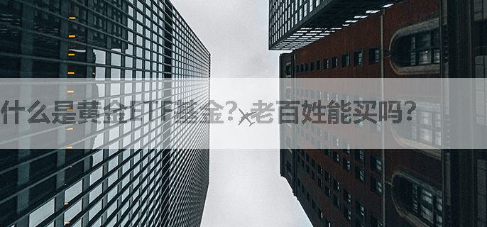 什么是黄金ETF基金？老百姓能买吗？