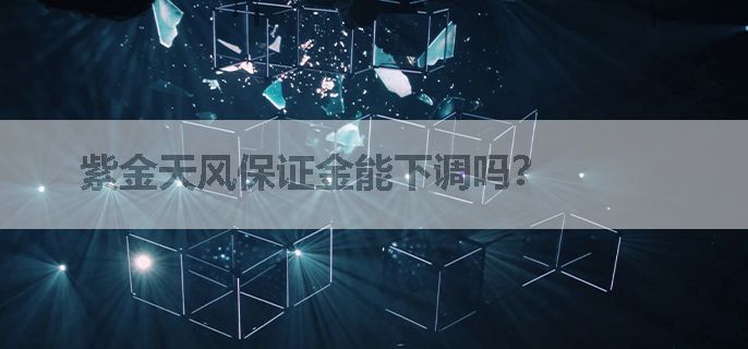 紫金天风保证金能下调吗？