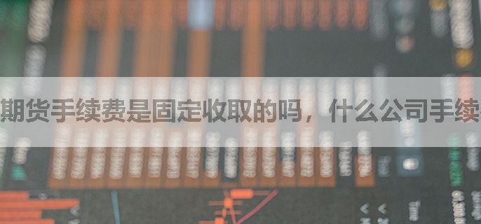 期货手续费是固定收取的吗，什么公司手续费低？