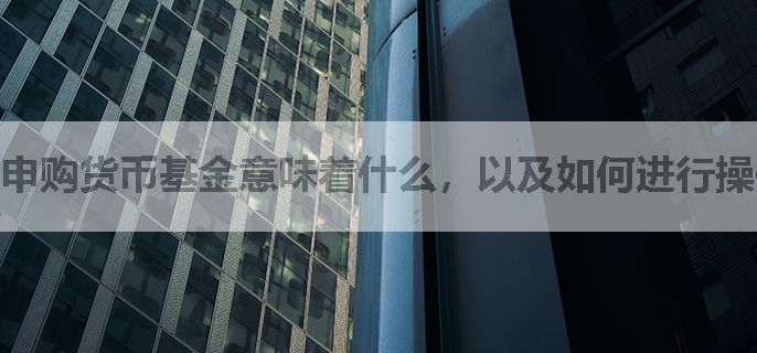 申购货币基金意味着什么，以及如何进行操作？