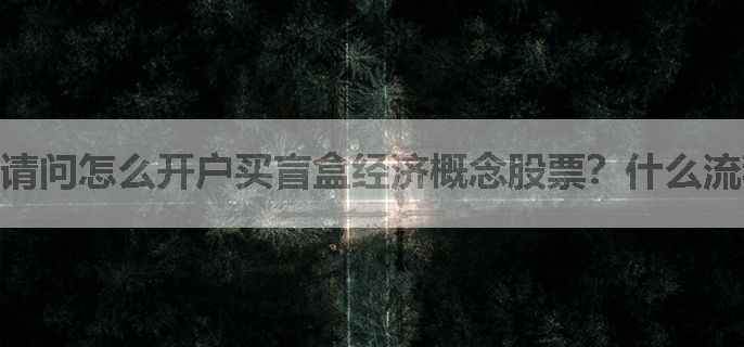 请问怎么开户买盲盒经济概念股票？什么流程？