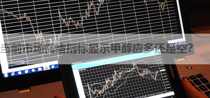 当前市场情绪指标显示甲醇应多还是空？