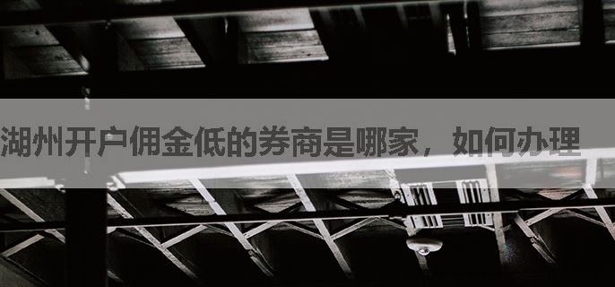 湖州开户佣金低的券商是哪家，如何办理
