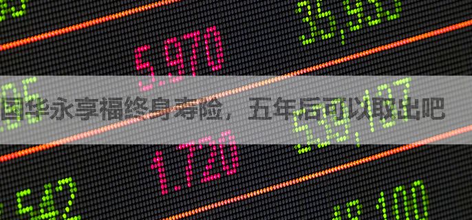 国华永享福终身寿险，五年后可以取出吧