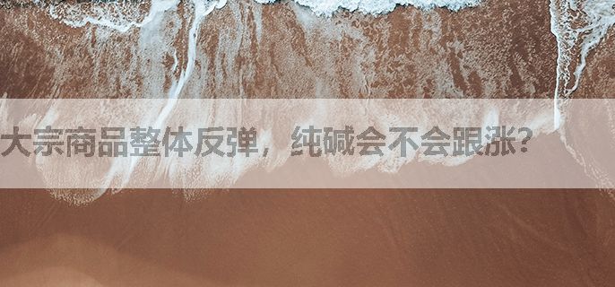 大宗商品整体反弹，纯碱会不会跟涨？