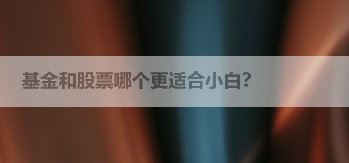 基金和股票哪个更适合小白？