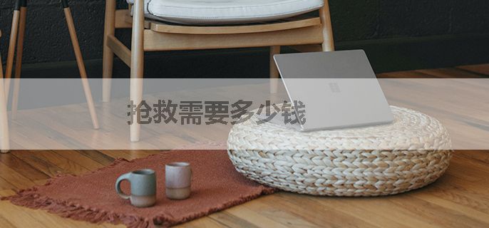 抢救需要多少钱