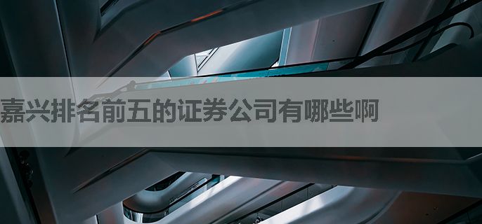 嘉兴排名前五的证券公司有哪些啊