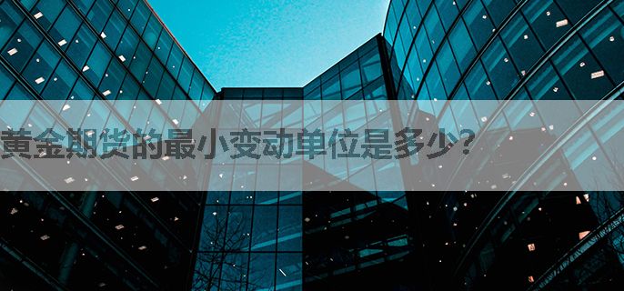 黄金期货的最小变动单位是多少？