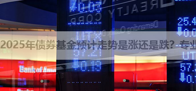 2025年债券基金预计走势是涨还是跌？专业分析