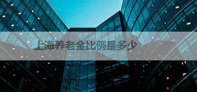 上海养老金比例是多少