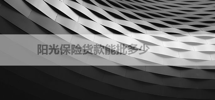 阳光保险货款能批多少