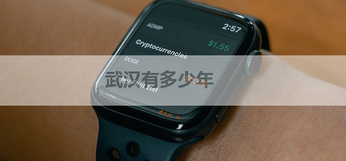 武汉有多少年