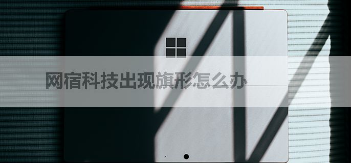 网宿科技出现旗形怎么办