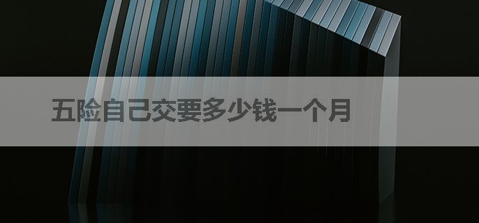 五险自己交要多少钱一个月
