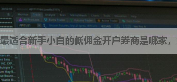 最适合新手小白的低佣金开户券商是哪家，怎么办理