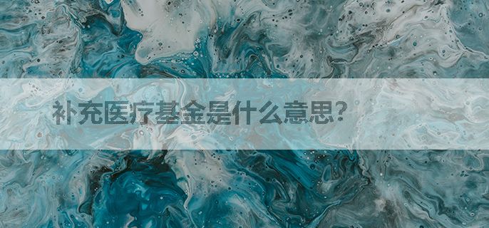 补充医疗基金是什么意思？