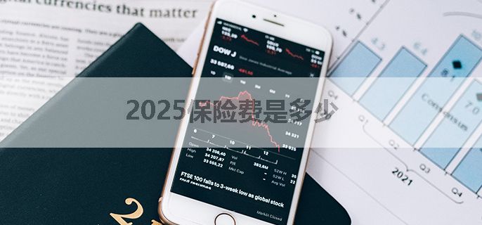2025保险费是多少